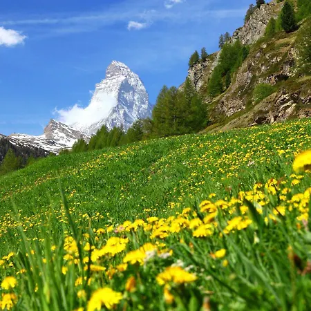 Bergere-1 By Interhome Zermatt